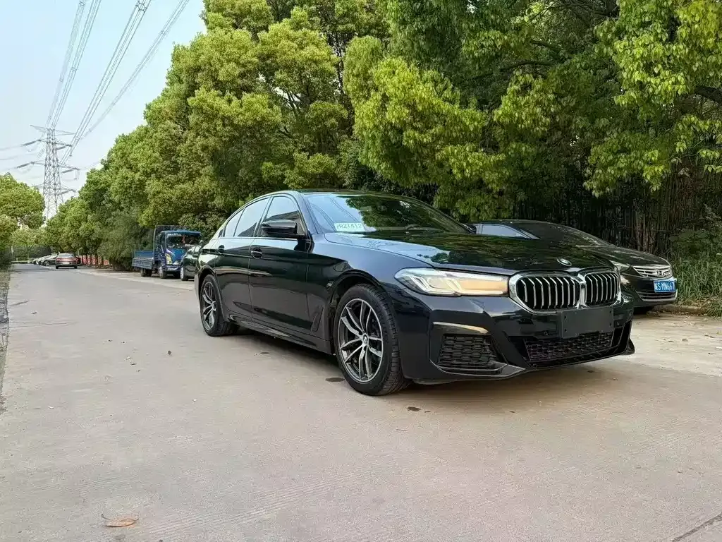 BMW 5 Series (Import) 2023 из CN, фото 6