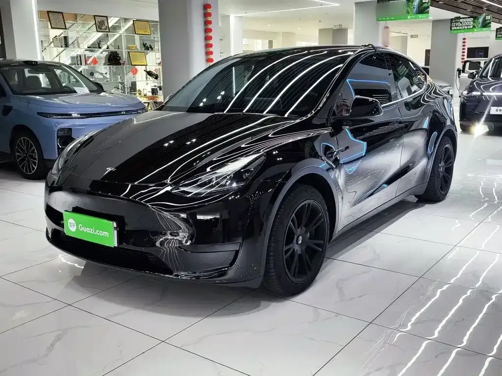 Tesla Model Y — фото 8
