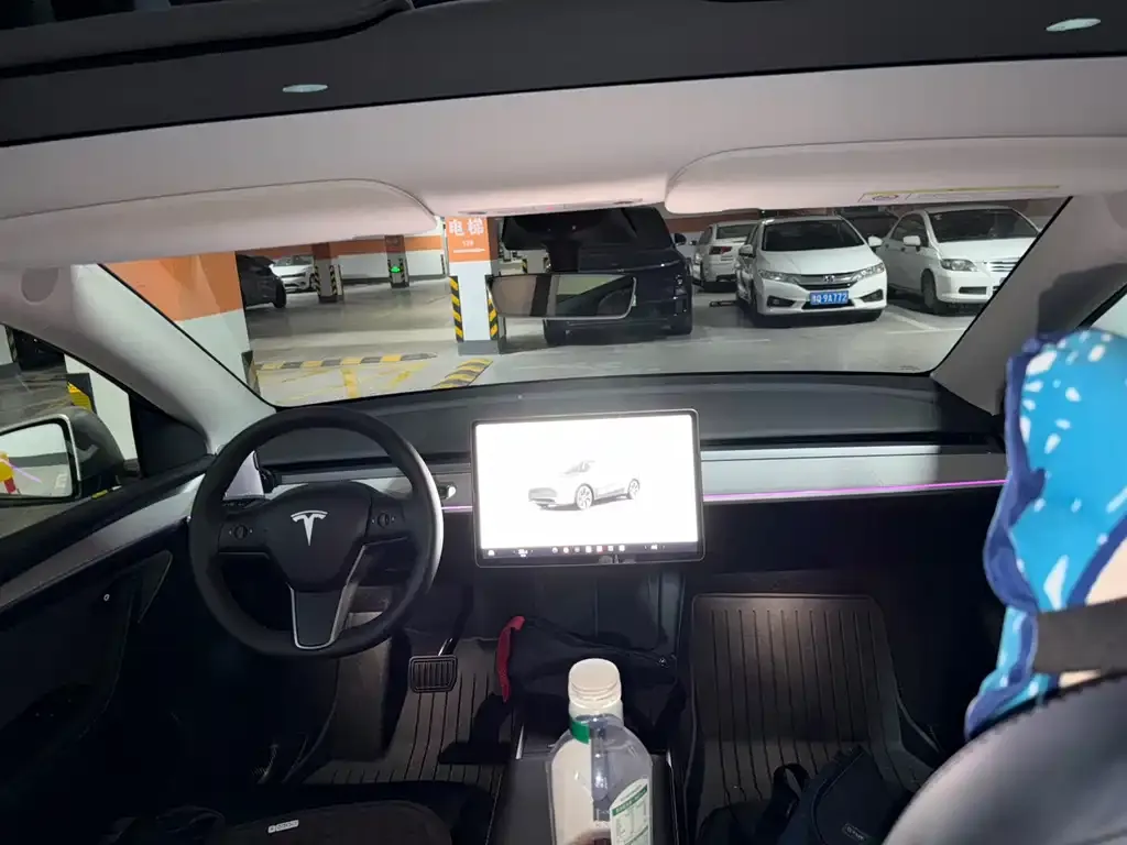 Tesla Model Y — фото 10
