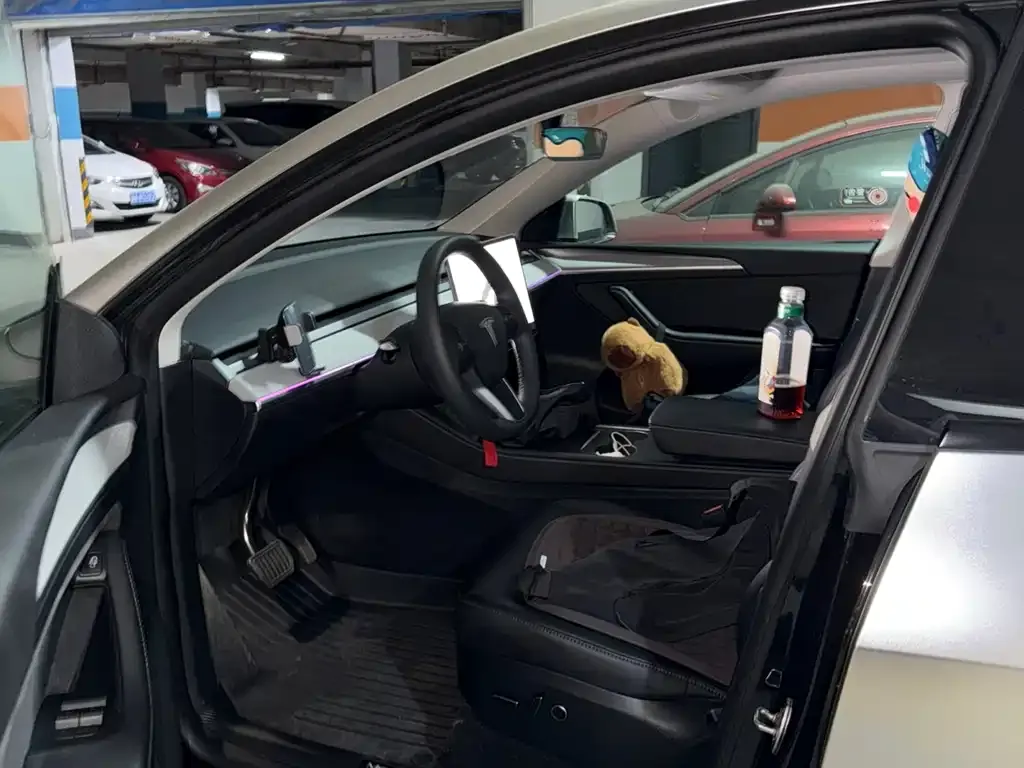 Tesla Model Y — фото 6