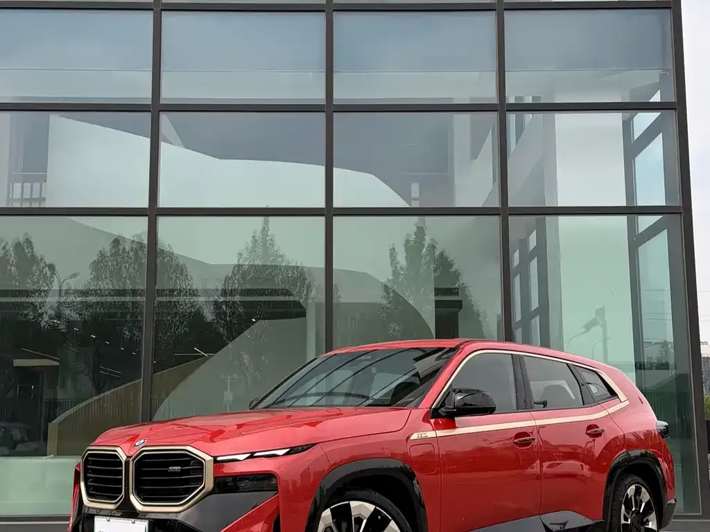 BMW XM 2024 из CN, фото 4