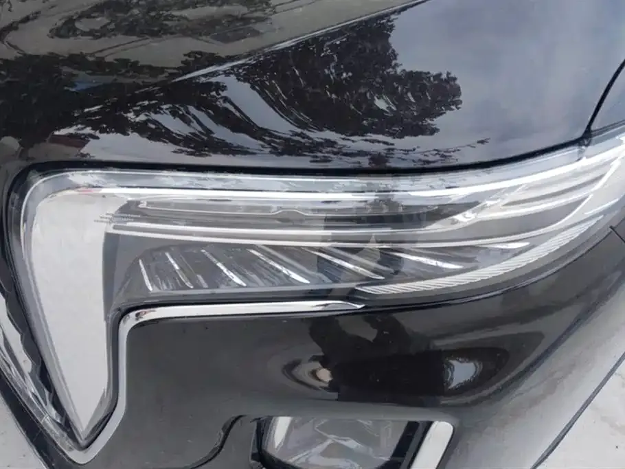 Hongqi HQ9 2023 из CN, фото 4