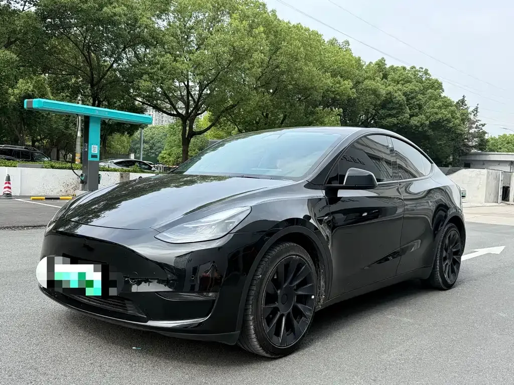 Tesla Model Y — фото 1