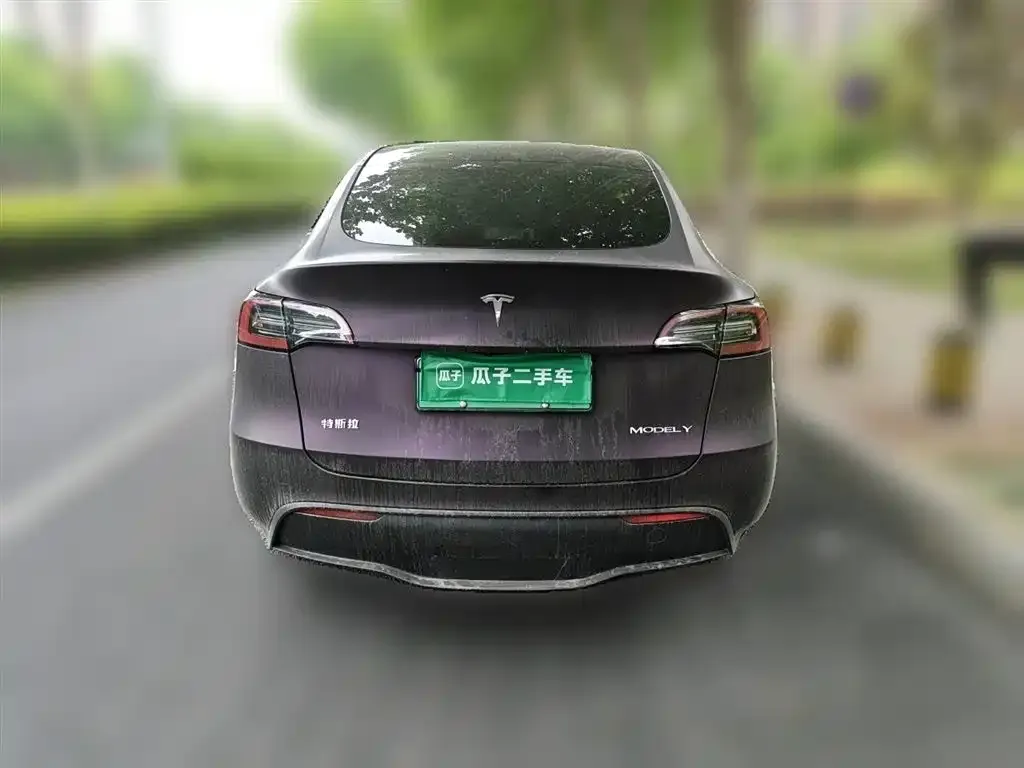 Tesla Model Y — фото 2