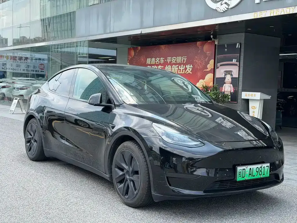 Tesla Model Y — фото 7