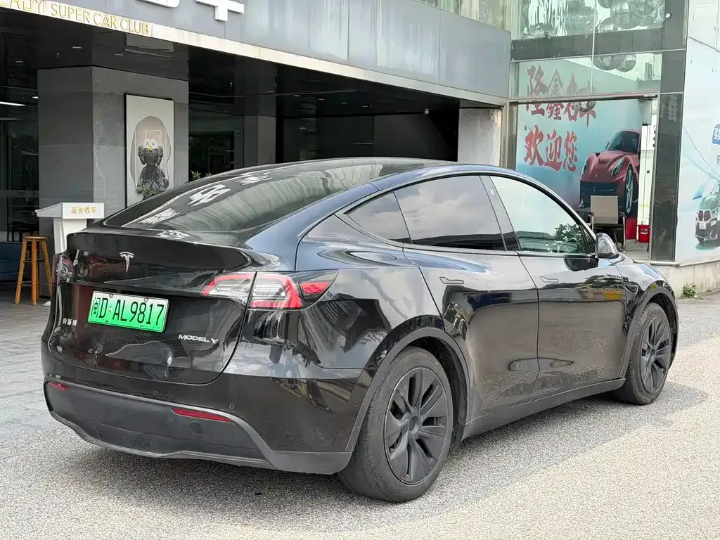 Tesla Model Y — фото 3