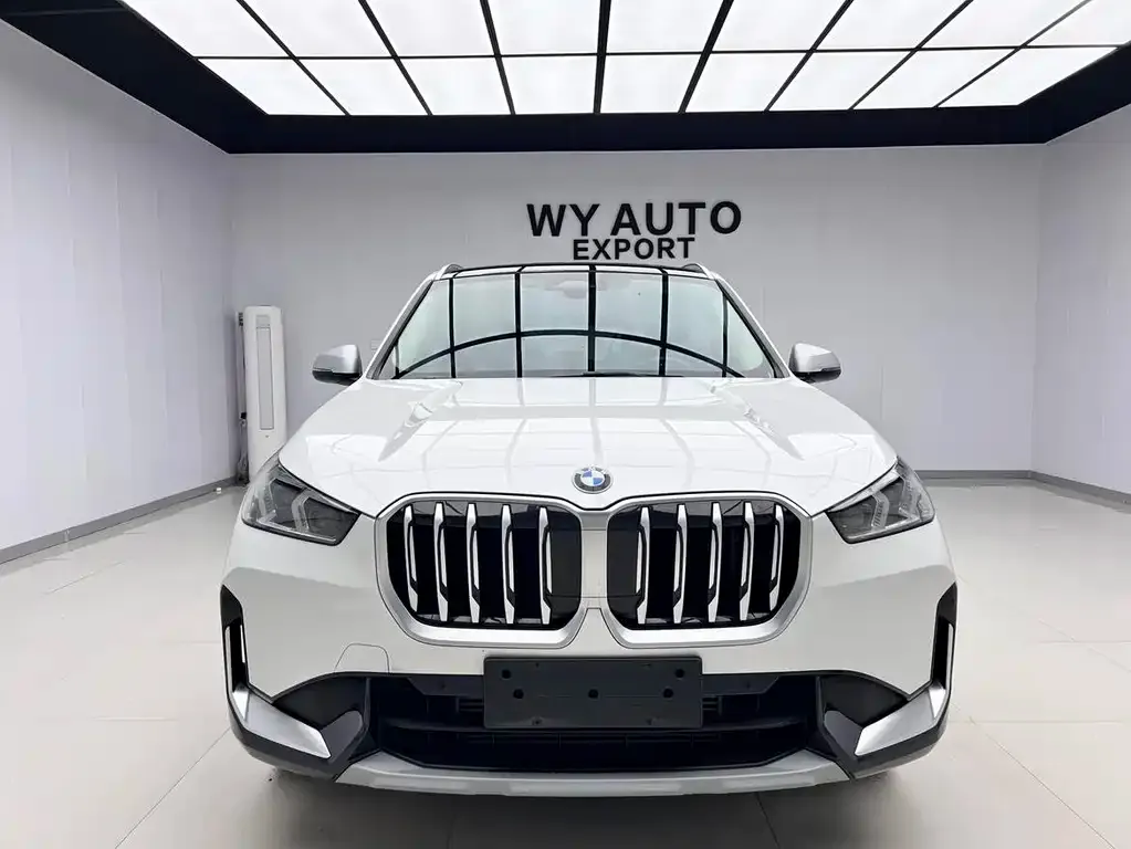BMW X1 2024 из CN, фото 4