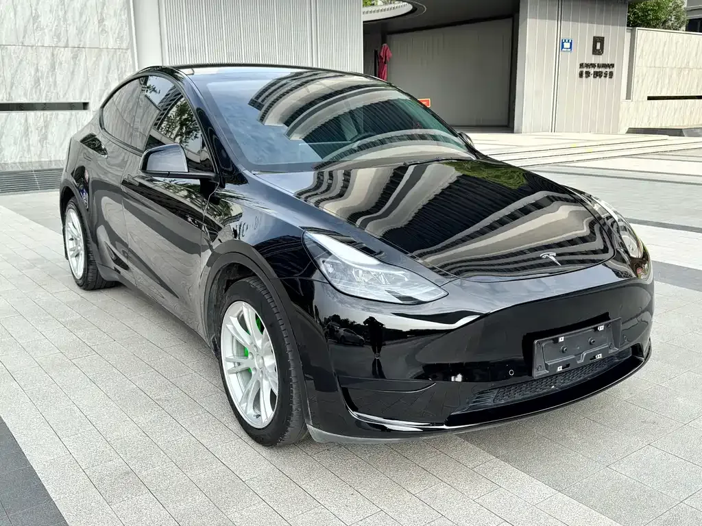 Tesla Model Y — фото 10