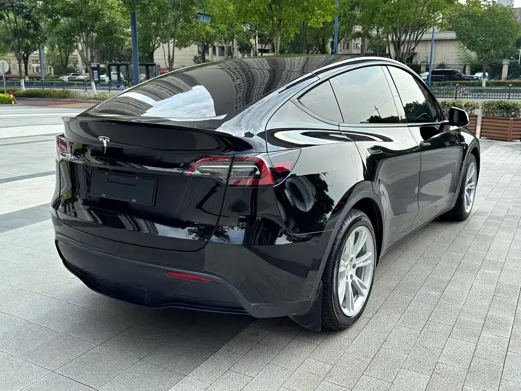 Tesla Model Y — фото 5