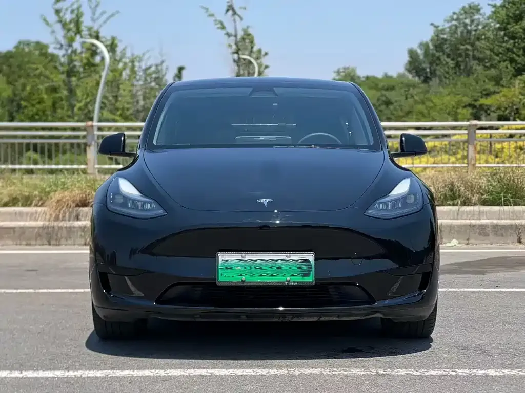 Tesla Model Y — фото 6