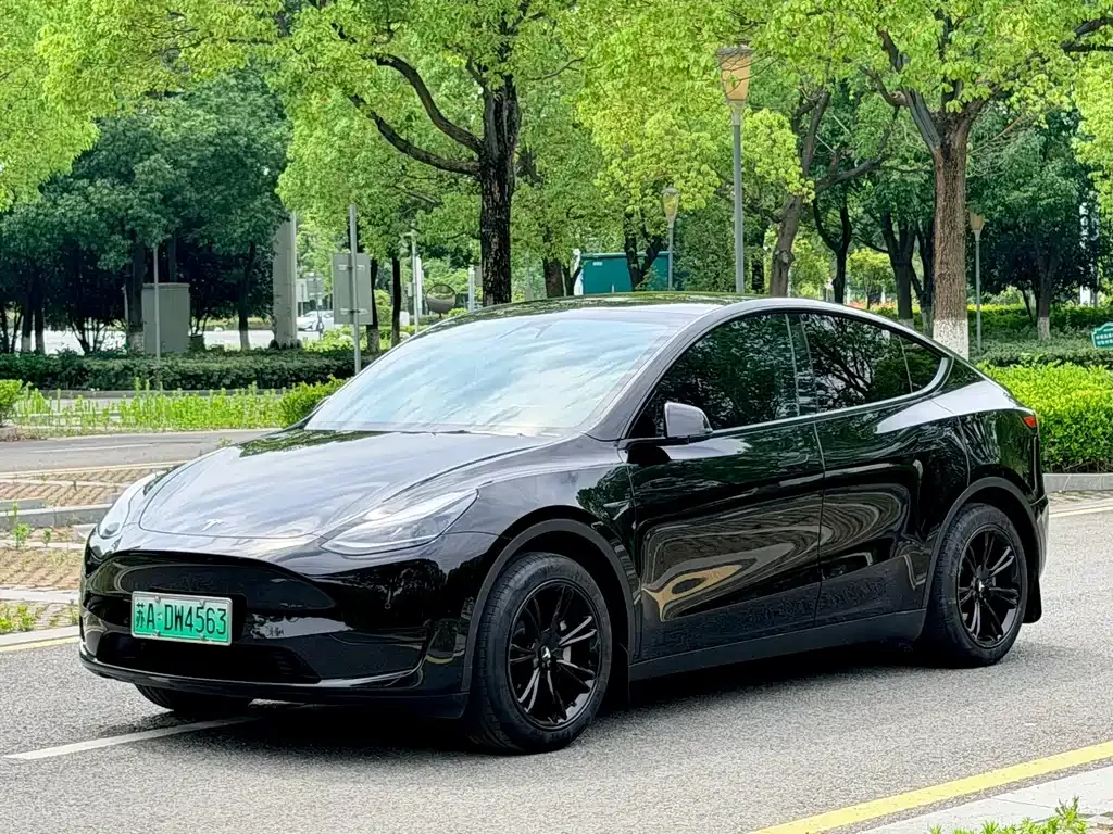 Tesla Model Y — фото 1