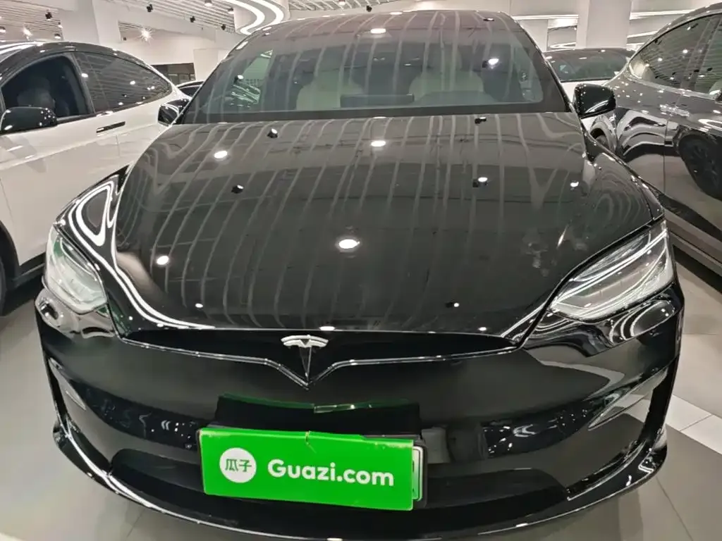 Tesla Model X 2023 из CN, фото 5