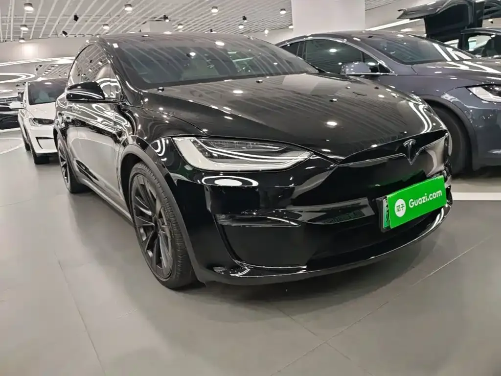 Tesla Model X 2023 из CN, фото 6
