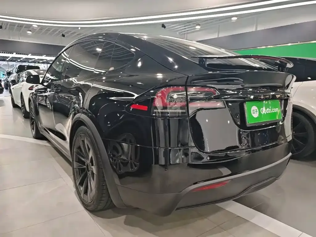 Tesla Model X 2023 из CN, фото 4