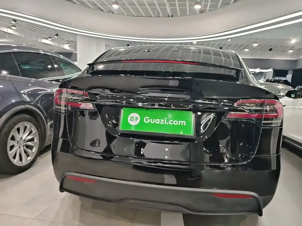 Tesla Model X 2023 из CN, фото 10