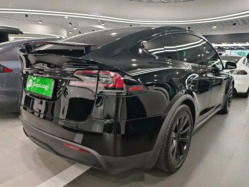 Tesla Model X 2023 из CN, фото 8