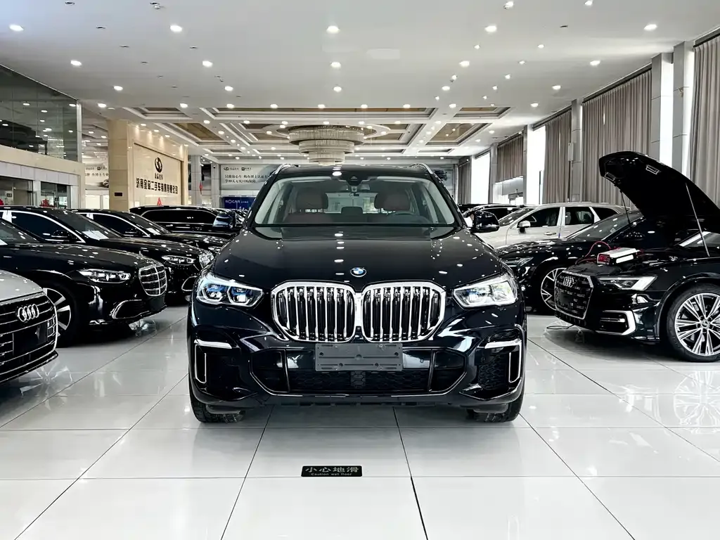 BMW X5 — фото 6