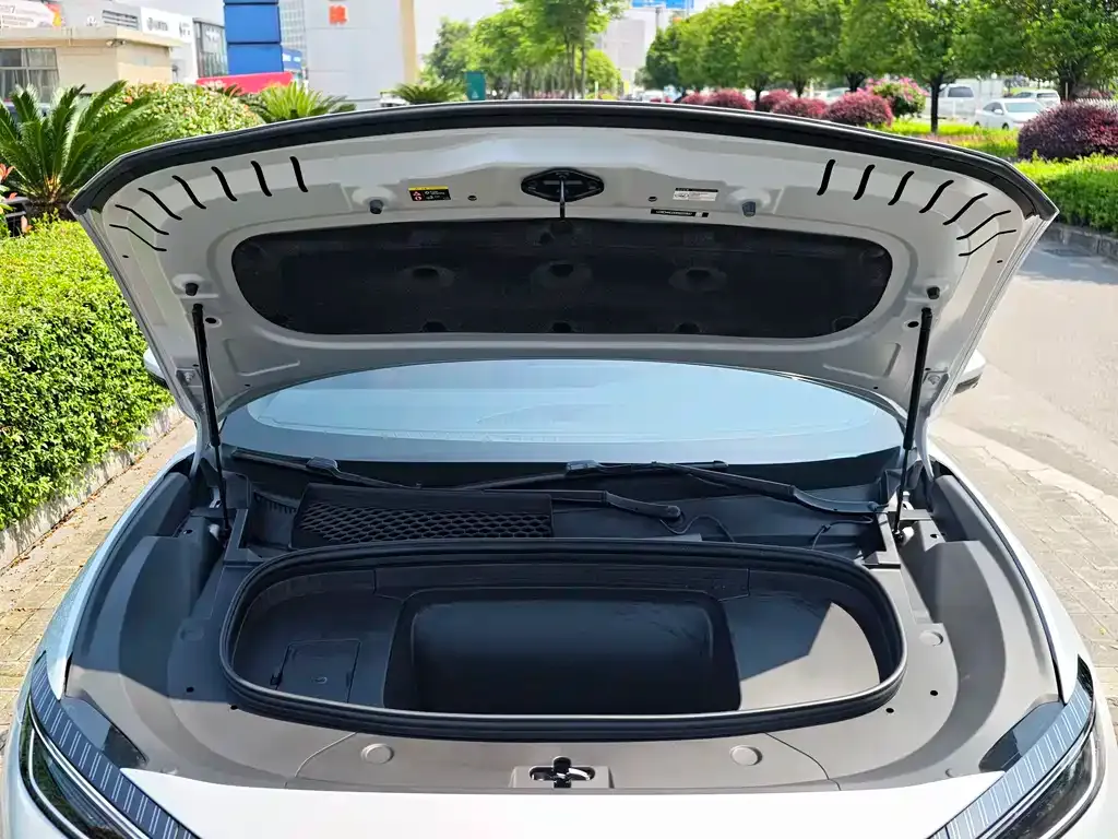 BYD L EV 2025 из CN, фото 3