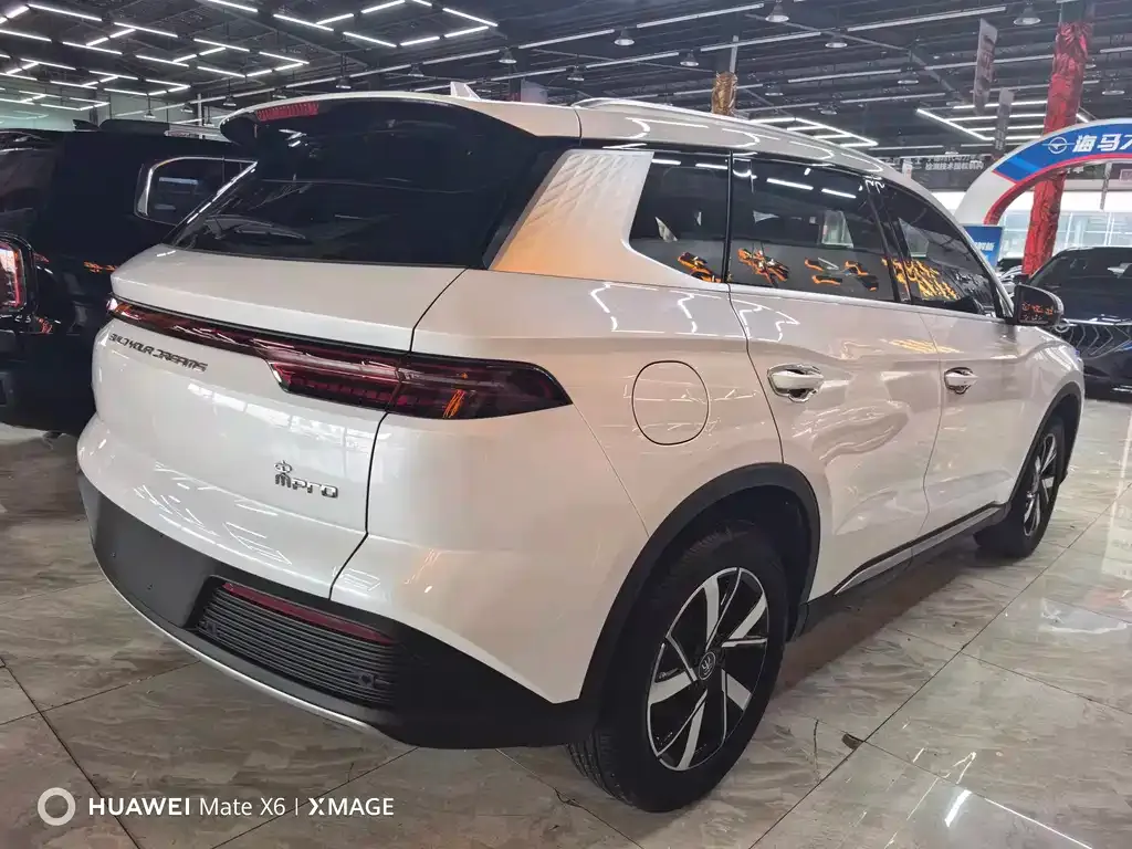 BYD Pro New Energy 2024 из CN, фото 8