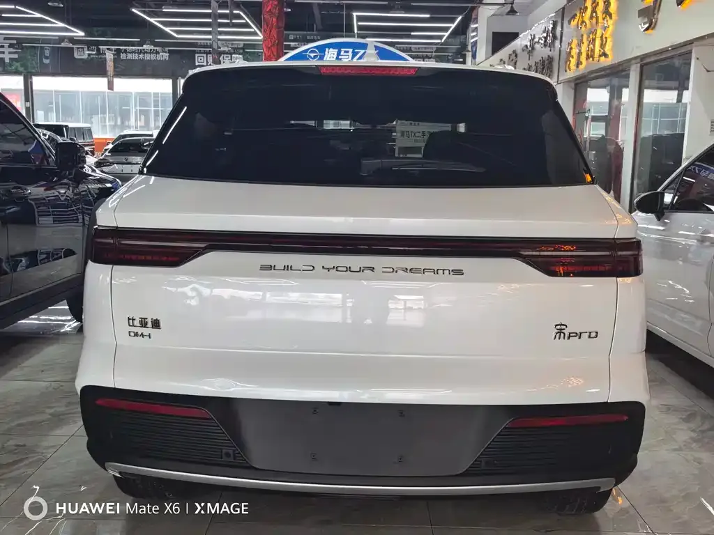 BYD Pro New Energy 2024 из CN, фото 6