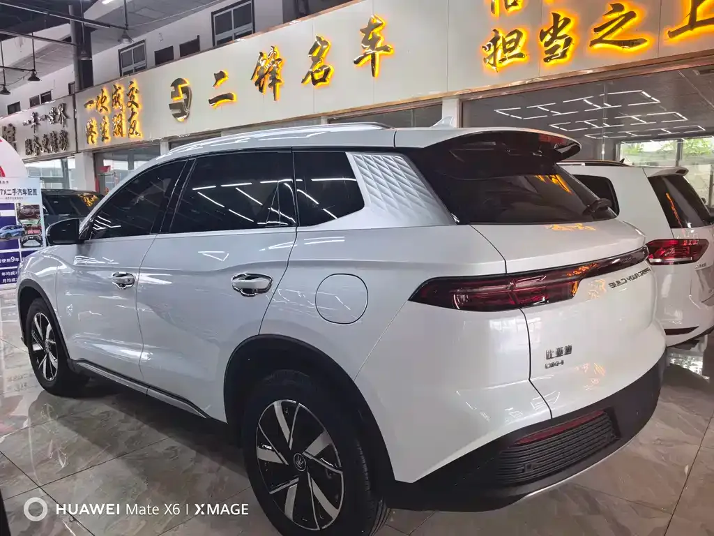 BYD Pro New Energy 2024 из CN, фото 3