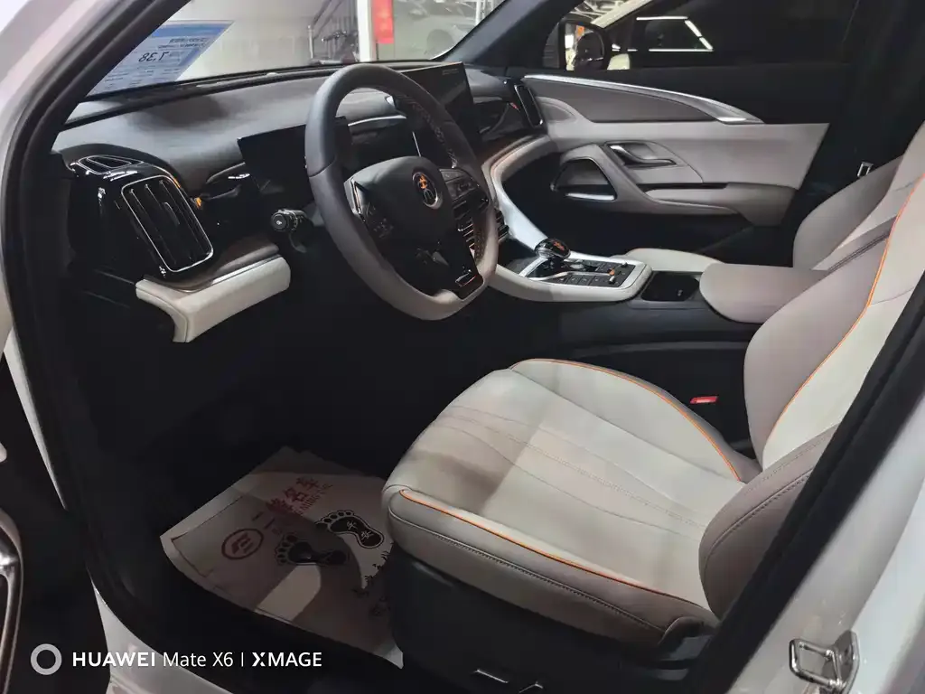 BYD Pro New Energy 2024 из CN, фото 2