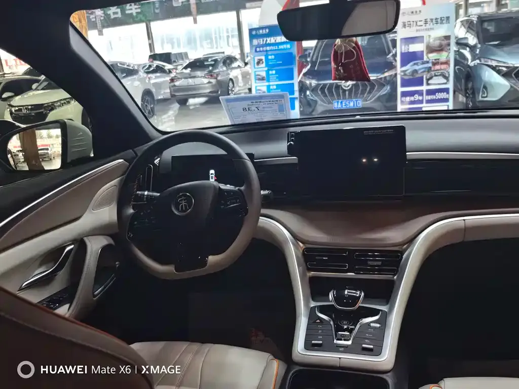 BYD Pro New Energy 2024 из CN, фото 9