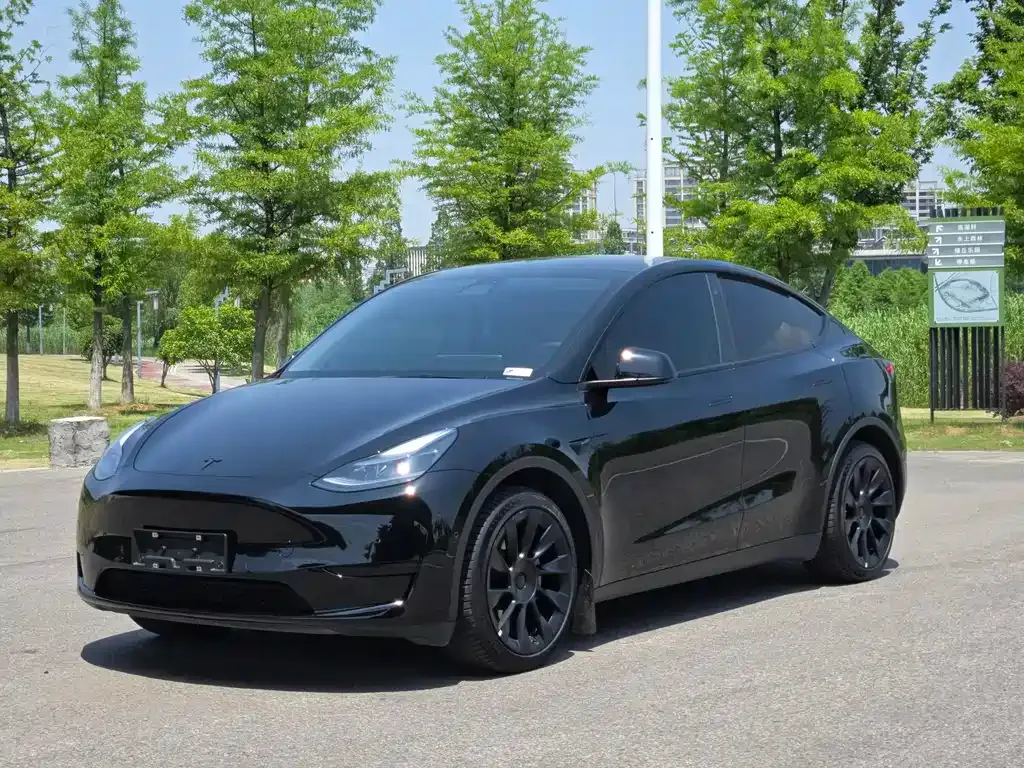 Tesla Model Y — фото 1