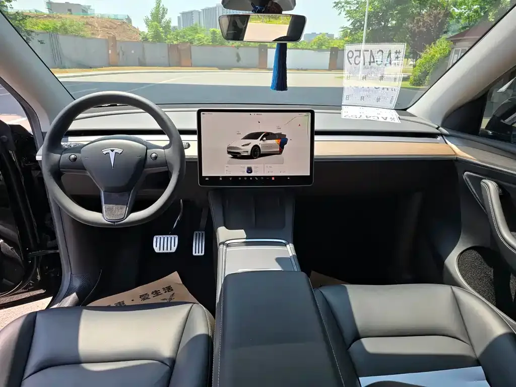 Tesla Model Y — фото 5