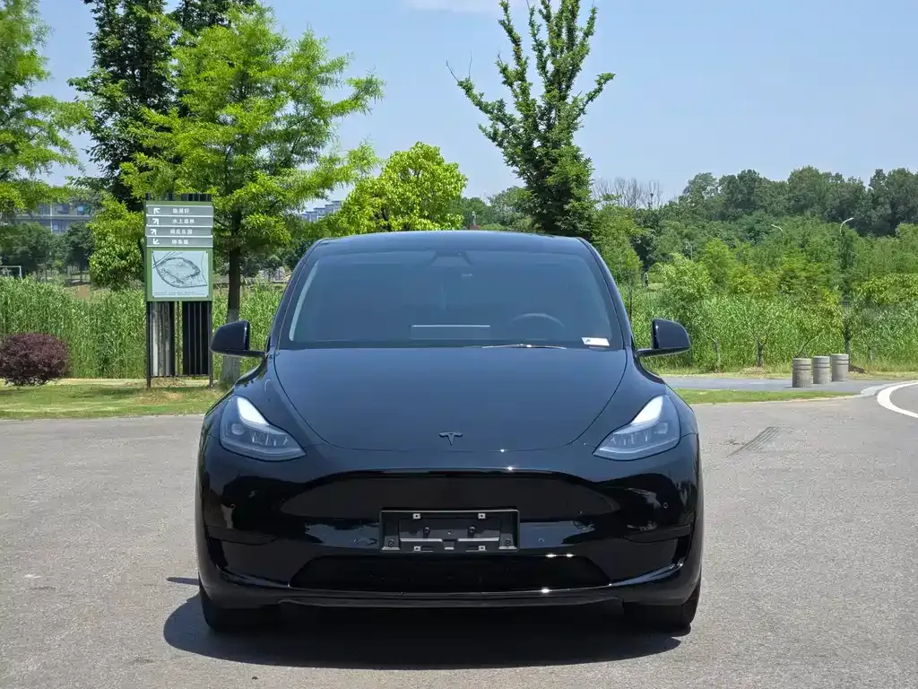 Tesla Model Y — фото 10