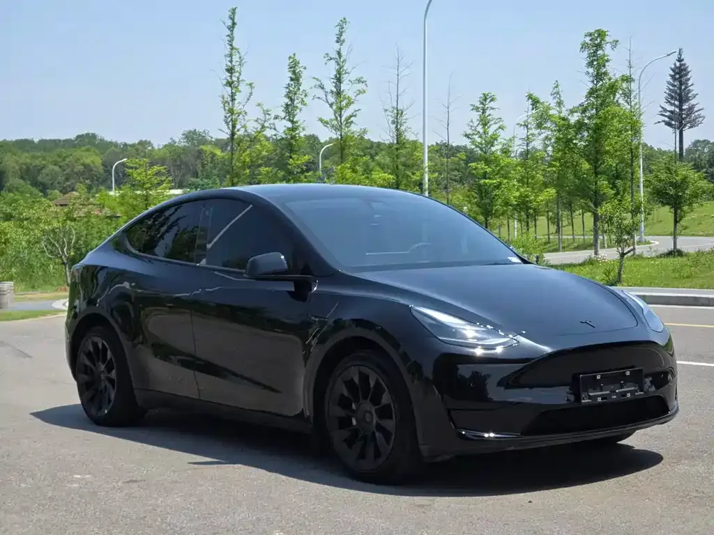 Tesla Model Y — фото 6