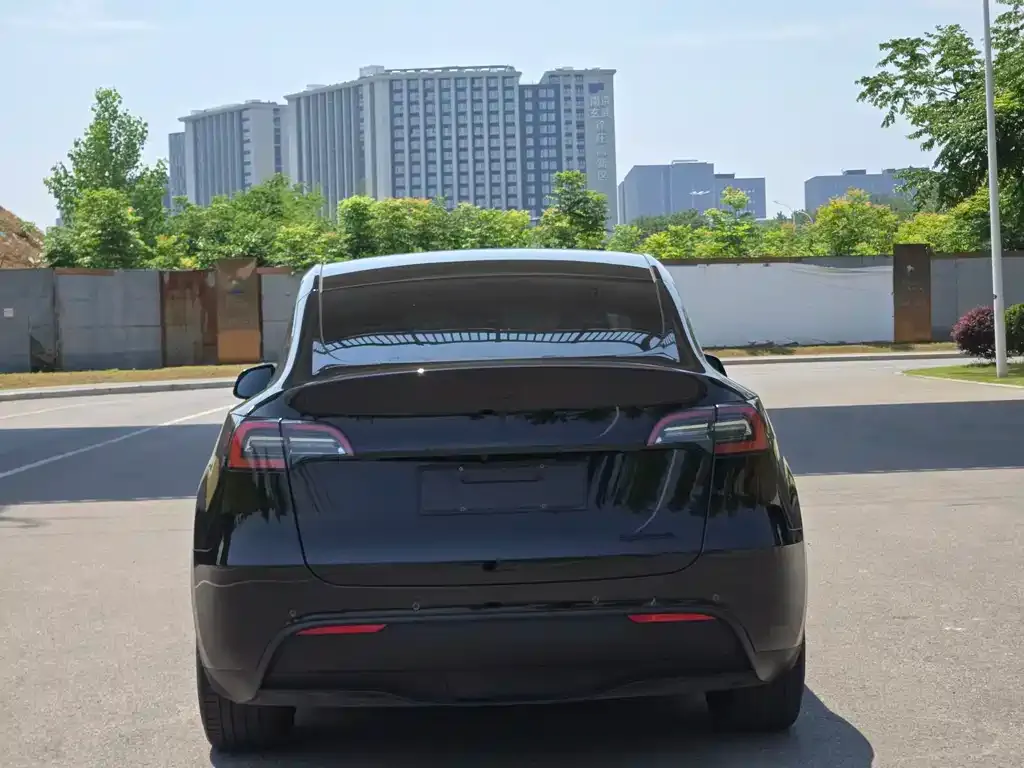 Tesla Model Y — фото 8