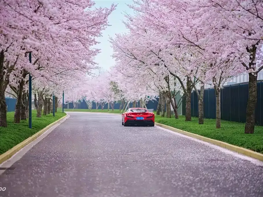 Ferrari F8 2021 из CN, фото 2