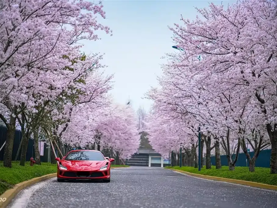 Ferrari F8 2021 из CN, фото 3