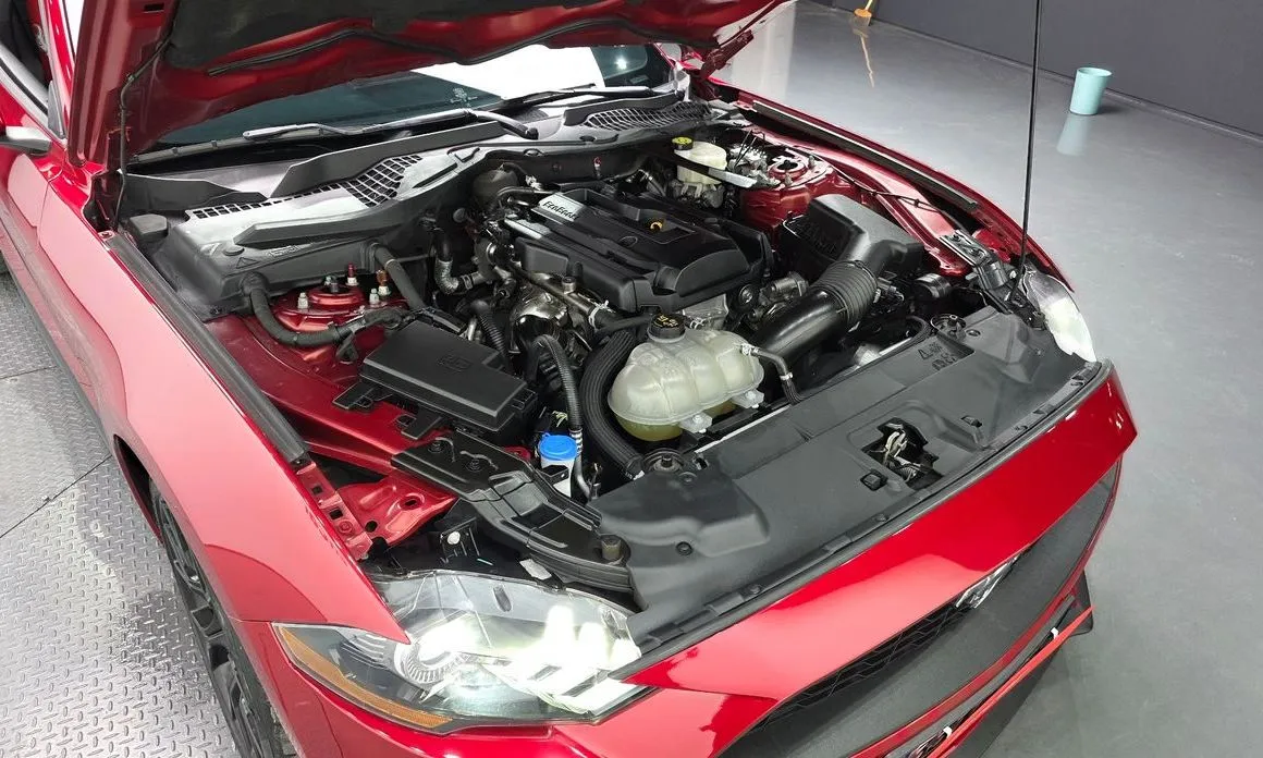 Ford Mustang 2023 из KR, фото 5