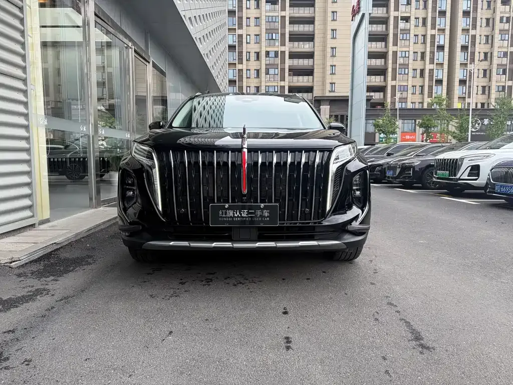 Hongqi HS7 PHEV 2025 из CN, фото 7