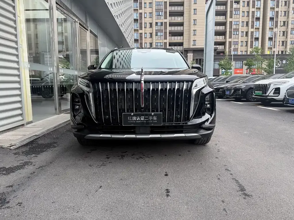 Hongqi HS7 PHEV 2025 из CN, фото 10