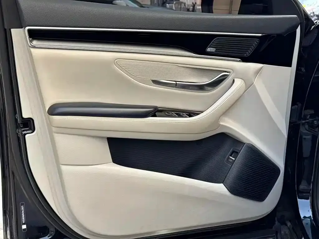 BYD PLUS New Energy — фото 10