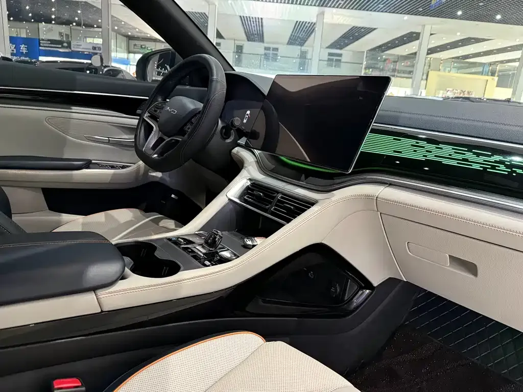BYD PLUS New Energy — фото 10