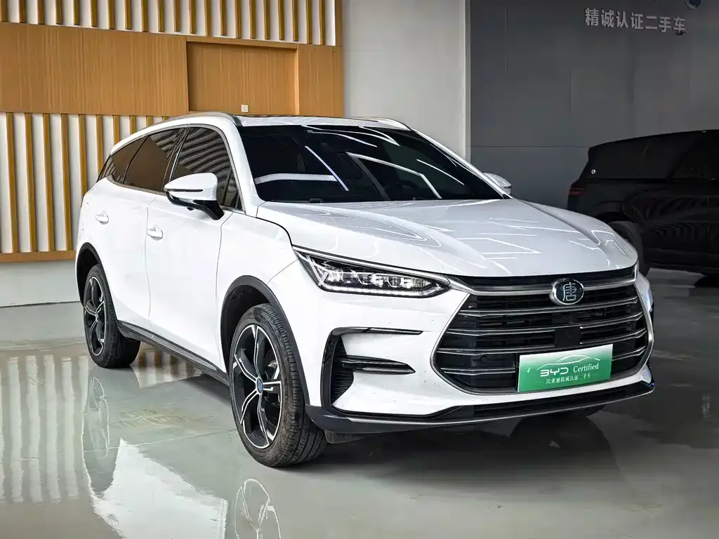 BYD Tang New Energy — фото 2