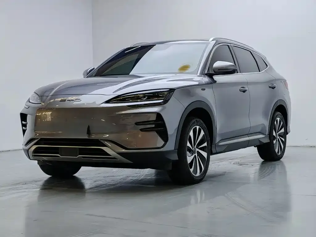 BYD PLUS New Energy — фото 1