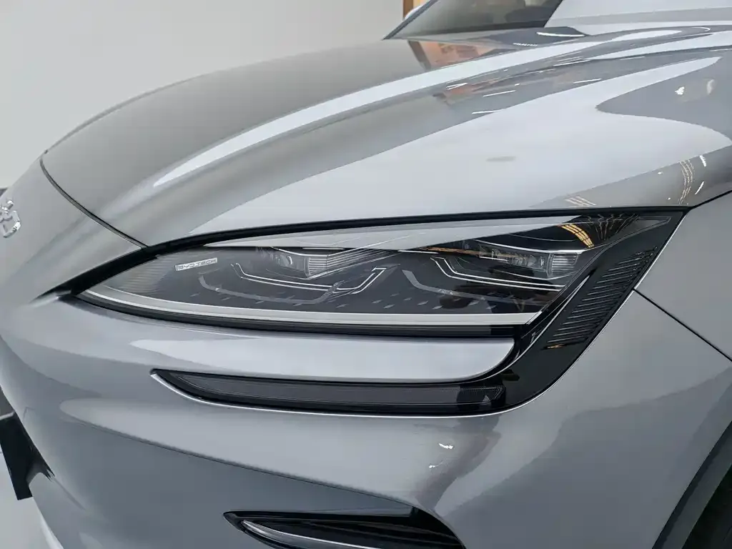 BYD PLUS New Energy — фото 8