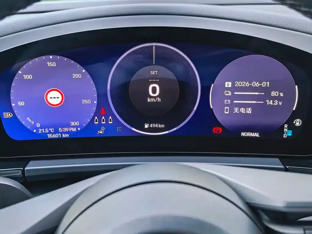 Porsche Macan EV 2025 из CN, фото 6