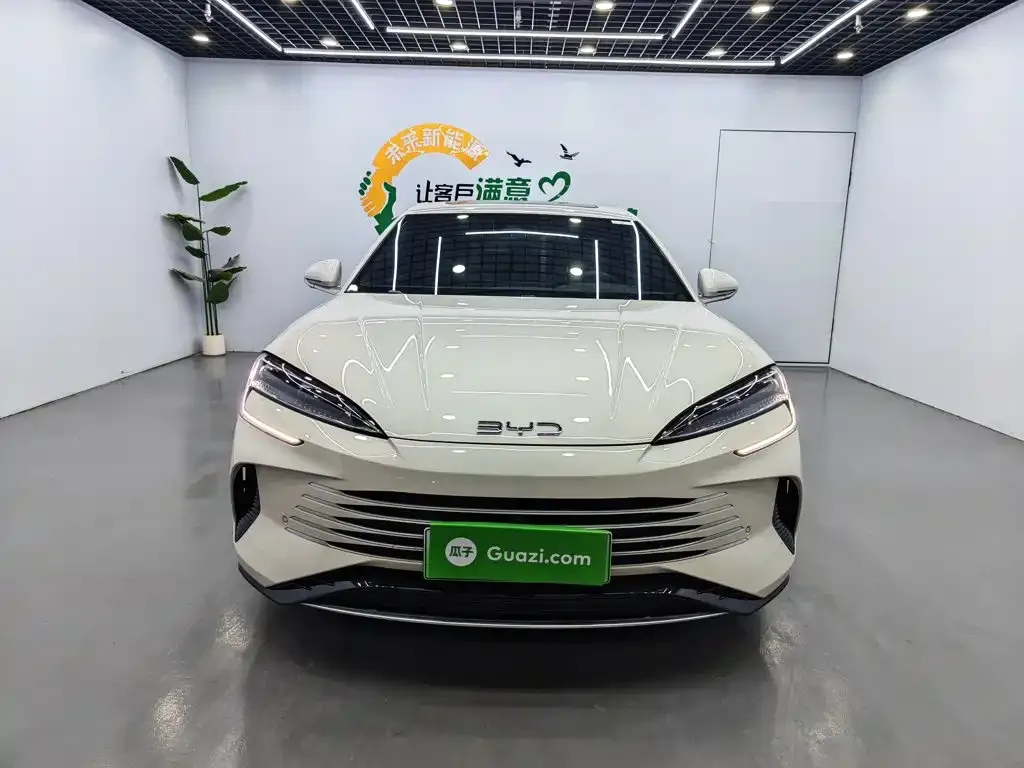 BYD Seal 07 DM-i 2025 из CN, фото 4