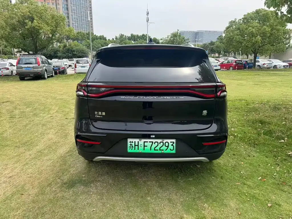 BYD Tang 2024 из CN, фото 6