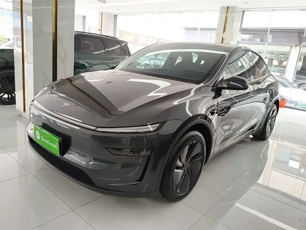 Tesla Model Y — фото 9