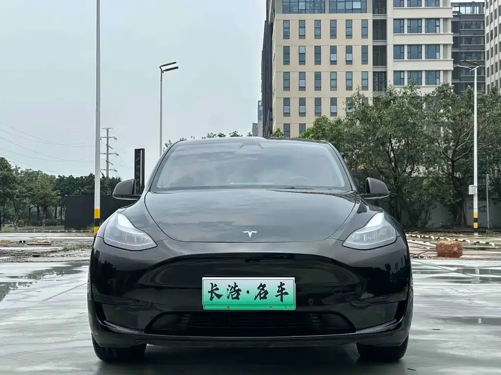 Tesla Model Y — фото 6