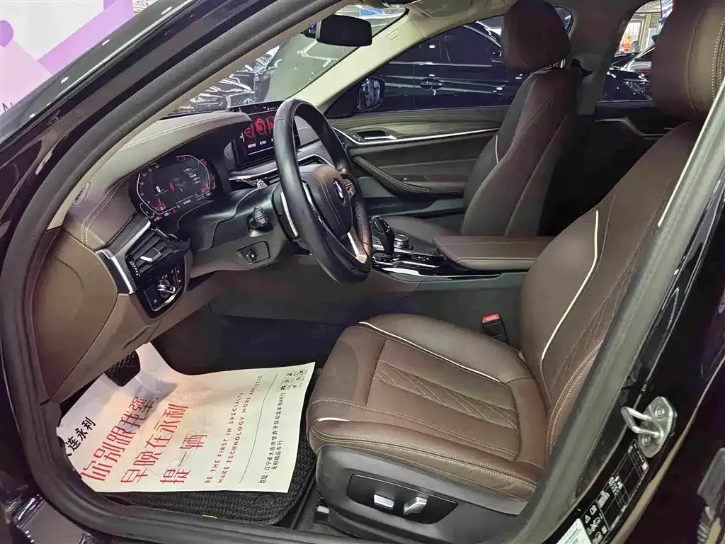 BMW 5 Series 2021 из CN, фото 10