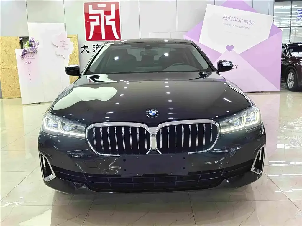 BMW 5 Series 2021 из CN, фото 8