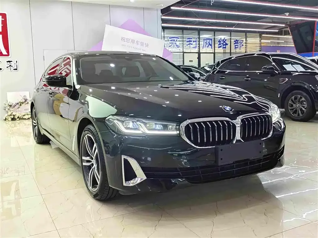 BMW 5 Series 2021 из CN, фото 7